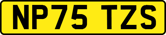 NP75TZS