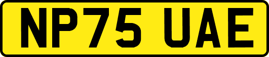 NP75UAE