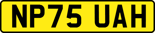 NP75UAH