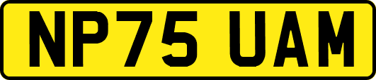 NP75UAM