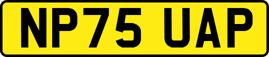NP75UAP