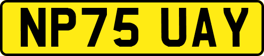 NP75UAY