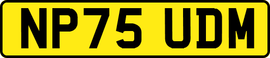 NP75UDM