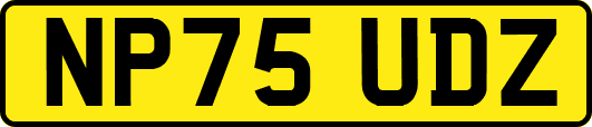NP75UDZ