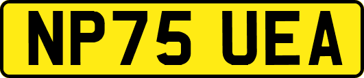 NP75UEA