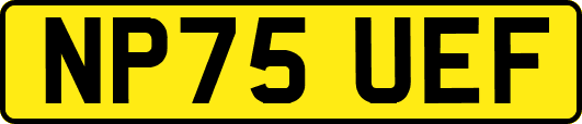 NP75UEF