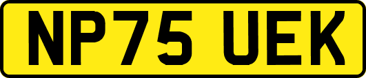 NP75UEK
