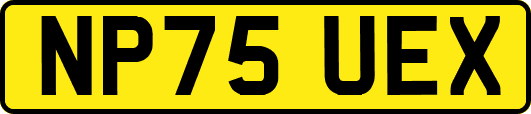 NP75UEX