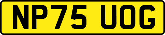 NP75UOG