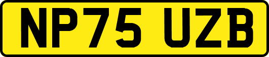 NP75UZB