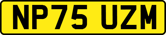 NP75UZM