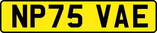 NP75VAE