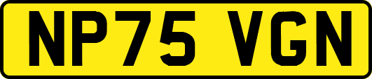 NP75VGN
