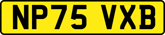 NP75VXB