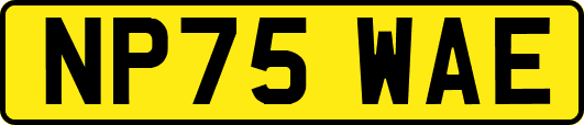 NP75WAE