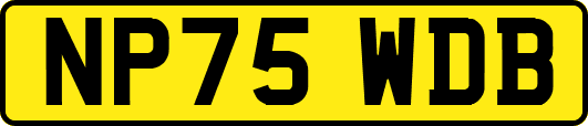 NP75WDB