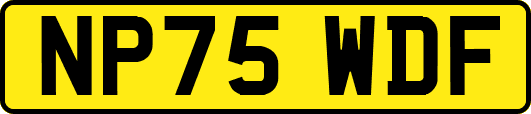 NP75WDF