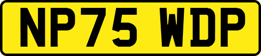 NP75WDP