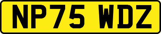 NP75WDZ