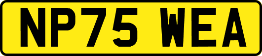 NP75WEA