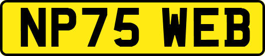 NP75WEB