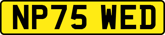 NP75WED
