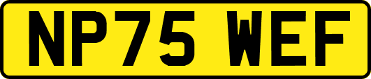 NP75WEF