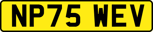 NP75WEV