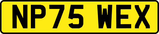 NP75WEX