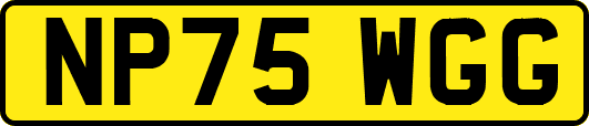 NP75WGG