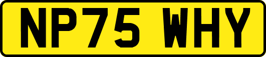 NP75WHY