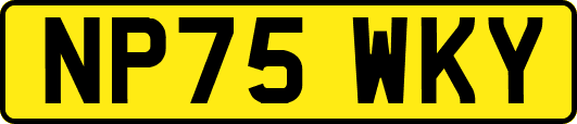 NP75WKY