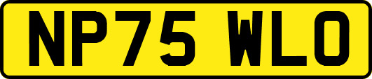 NP75WLO