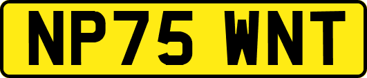 NP75WNT
