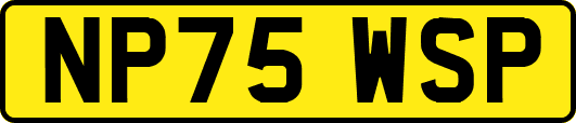 NP75WSP