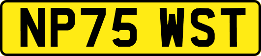 NP75WST