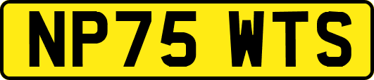 NP75WTS