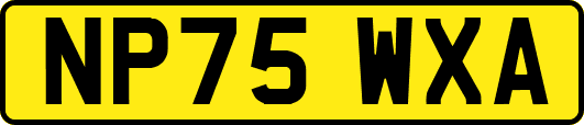 NP75WXA