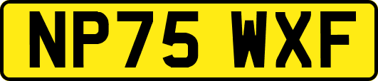 NP75WXF