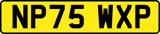 NP75WXP