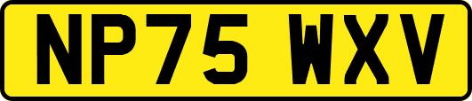 NP75WXV