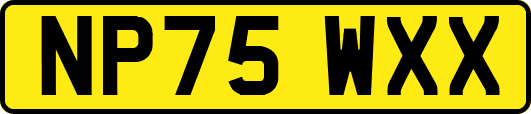 NP75WXX