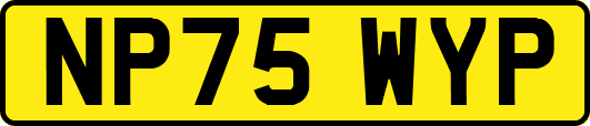 NP75WYP