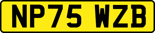 NP75WZB