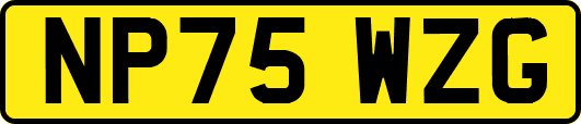 NP75WZG