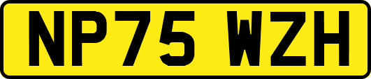 NP75WZH