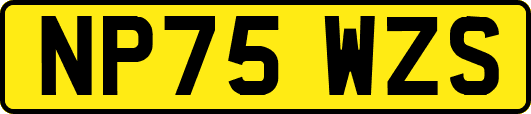 NP75WZS