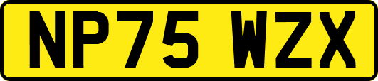 NP75WZX