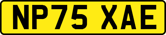 NP75XAE