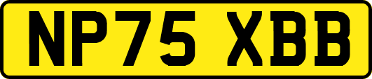NP75XBB